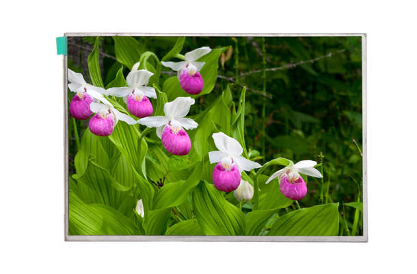 工業(yè)液晶屏多少錢(qián) 工業(yè)液晶屏多少錢(qián)