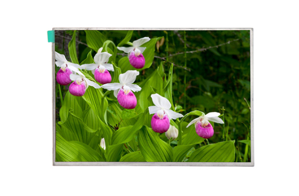 7寸800*480觸摸屏 7寸800*480觸摸屏