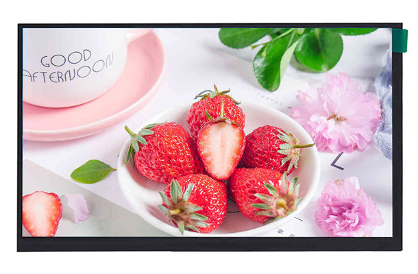 10.1寸TFT液晶屏 10.1寸TFT液晶屏