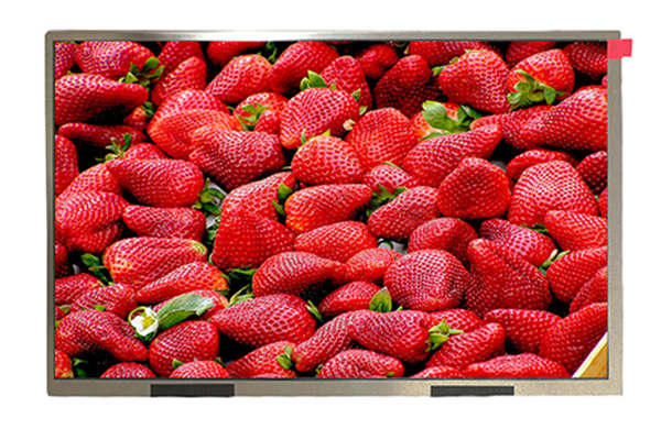 10.1寸電容觸摸顯示屏 10.1寸電容觸摸顯示屏